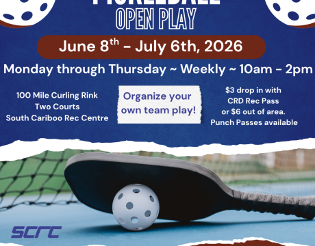 Pickleball Summer